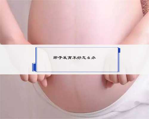青岛2023助孕价格,科学备孕的2个日期