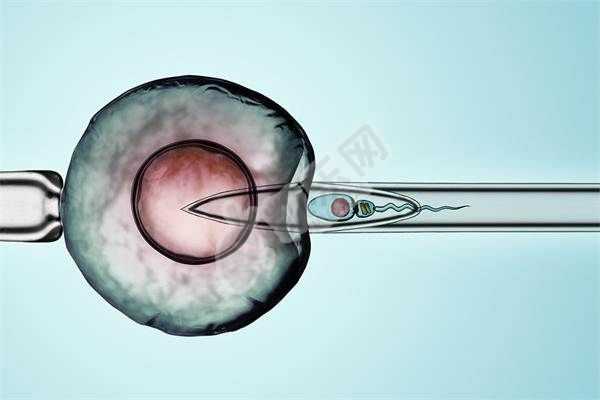 青岛代孕试管孕中介,最初的精子库