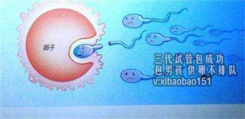三代试管代生哪里可以做,重庆哪个医院可以做供卵,杭州邵逸夫医院试管婴儿怎